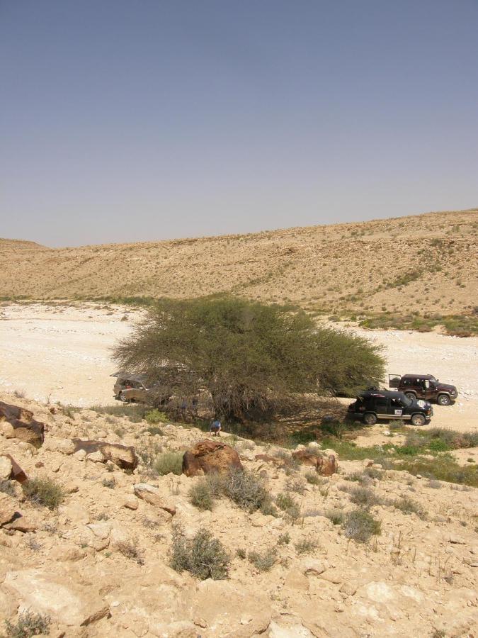 Hadass Desert Inn Dimona Exterior foto